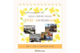 2025년 고령장애…