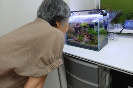 '생태이야기-나만의…